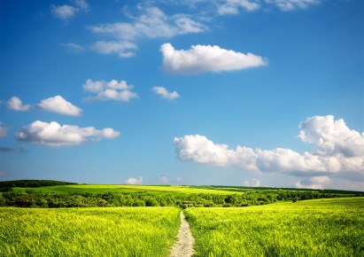 działka na wynajem - Dobrcz, Strzelce Dolne